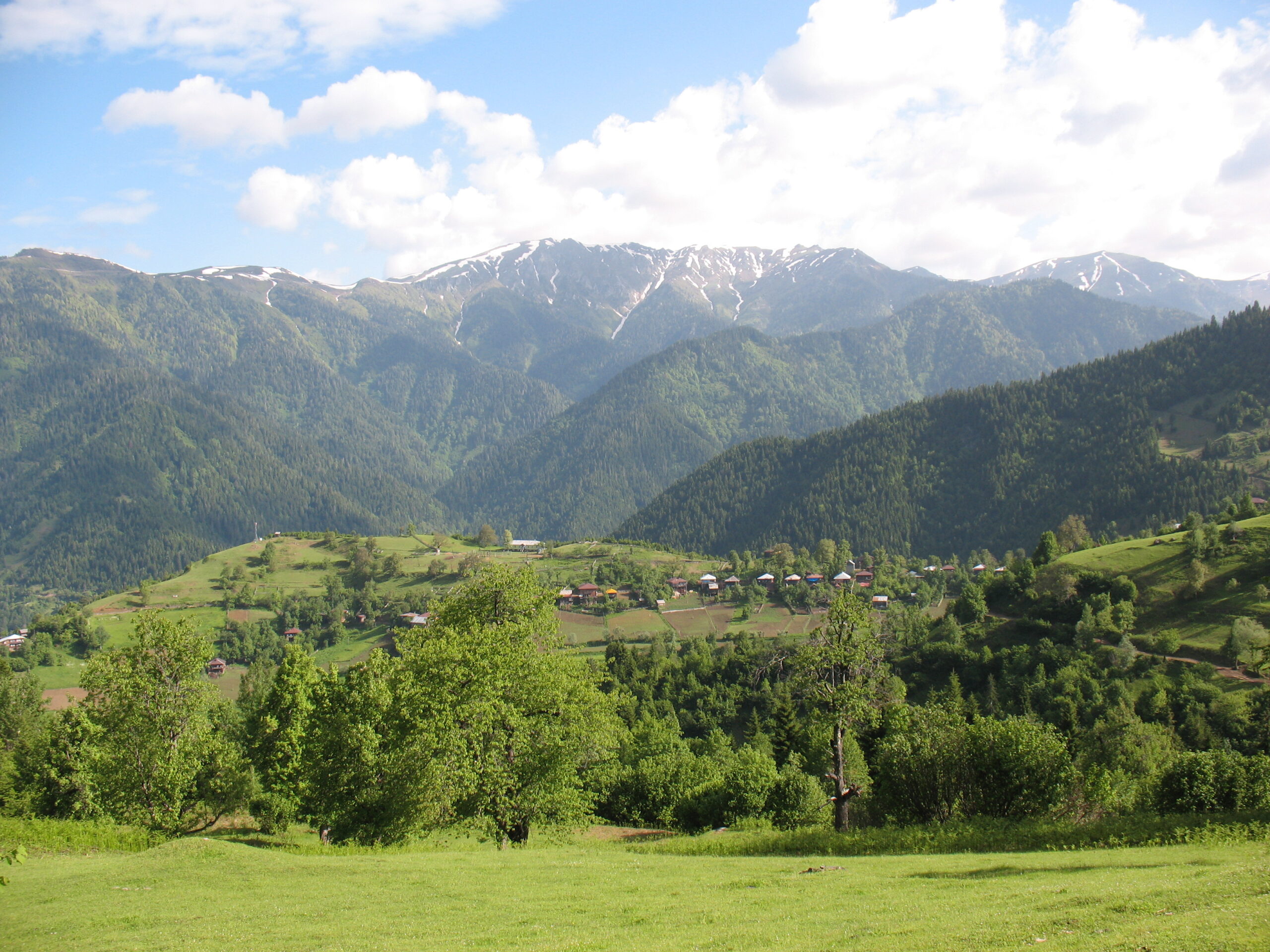 ინწკირვეთი